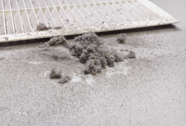 Best HVAC Air Duct Cleaning  in Pelican Marsh, FL