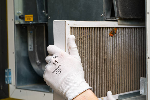 Best Air Duct Cleaning Company Near Me  in Pelican Marsh, FL