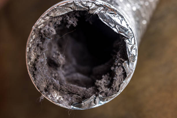 Best Home Air Vent Cleaning  in Pelican Marsh, FL