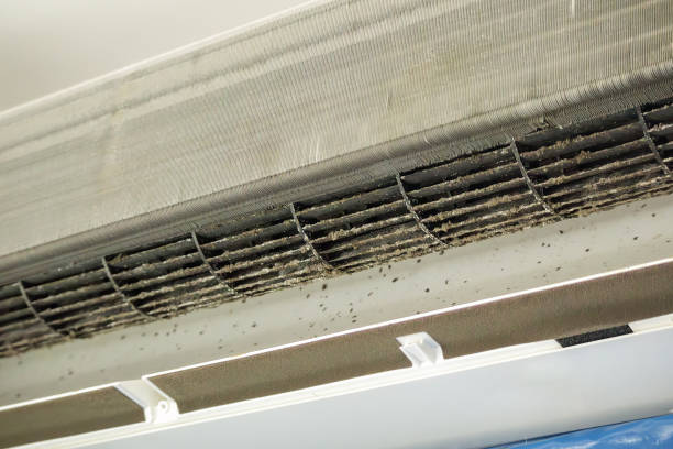  Pelican Marsh, FL Airduct Cleaning Pros